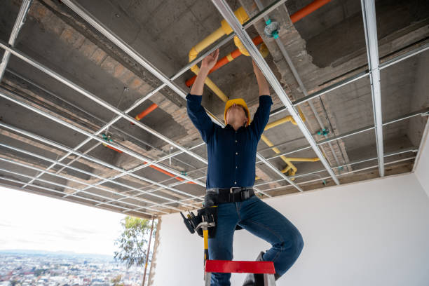 Best Best Plumbers Near Me  in Frisco, TX